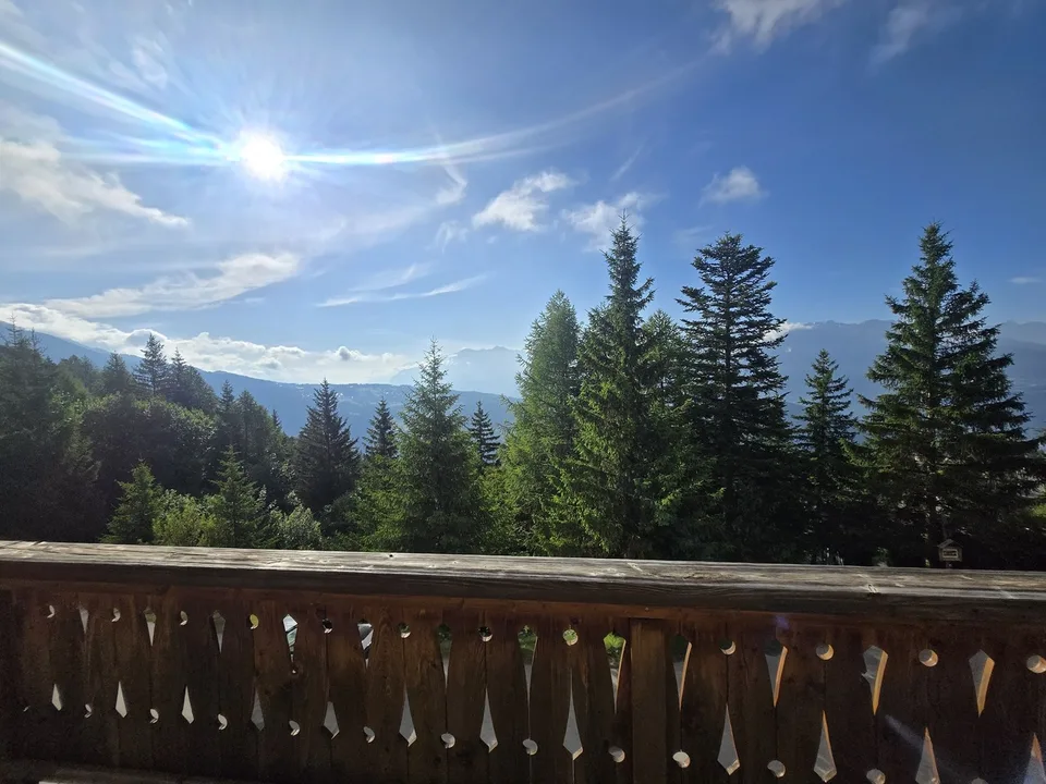 MAGNIFIQUE CHALET 10 PIECES A ANZERE - VUE IMPRENABLE & SOLEIL TOP – photo 10 sur 13
