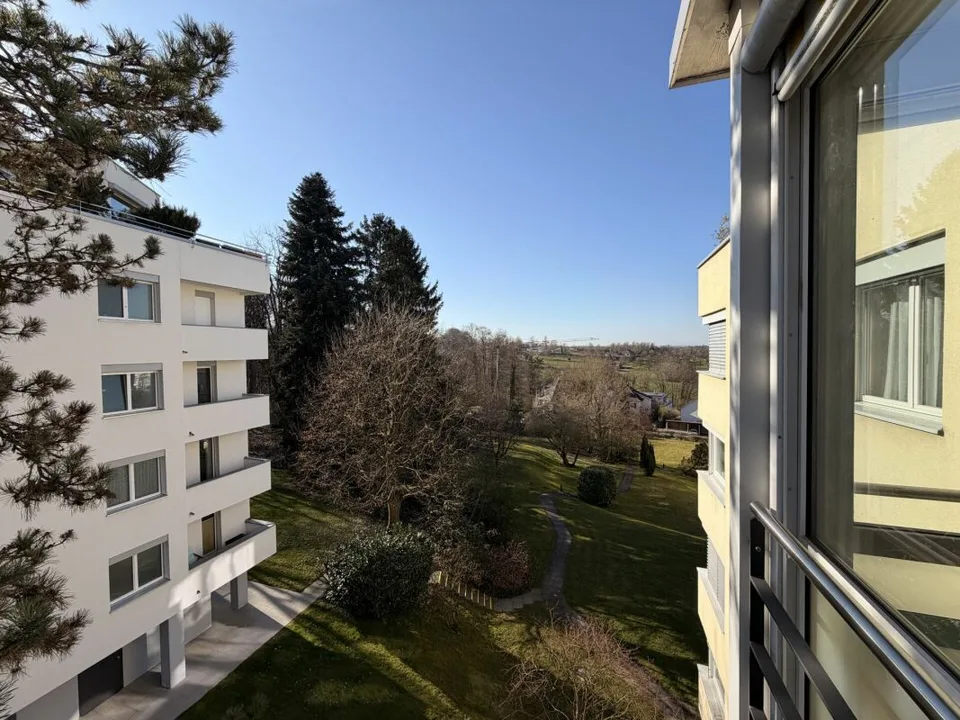 Bright 4.5-room apartment in Binningen