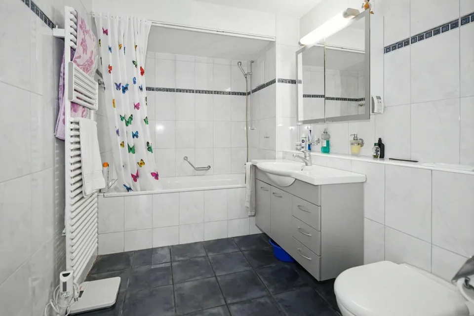 Bright 4.5-room apartment in Binningen