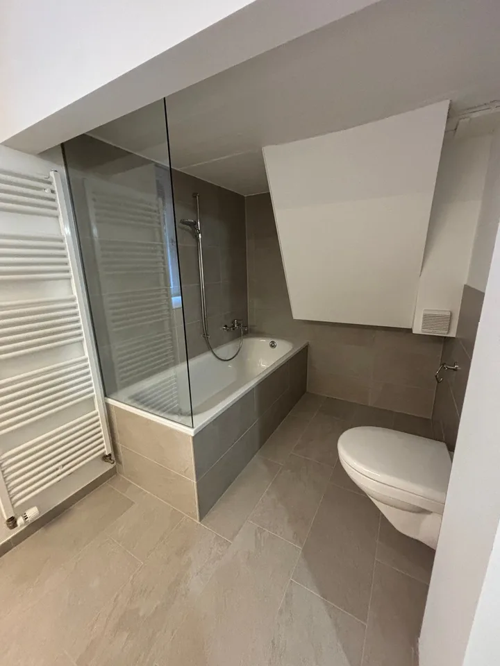Maison jumelée rénovée de 5,5 pièces à Muttenz – photo 13 sur 14