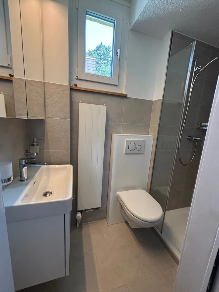 Maison jumelée rénovée de 5,5 pièces à Muttenz – photo 12 sur 14