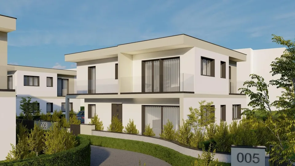 5.5-Zi.-Neubau-EFH mit PV in Däniken - ruhig & modern