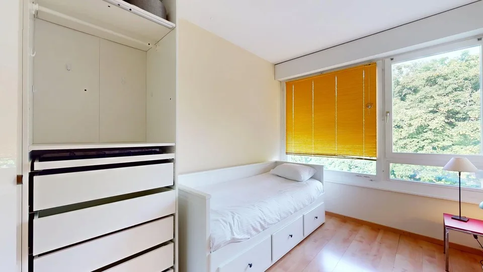 Meraviglioso appartamento di 4 camere con 3 balconi – Route de Frontenex 114, Ginevra! – foto 9 di 16