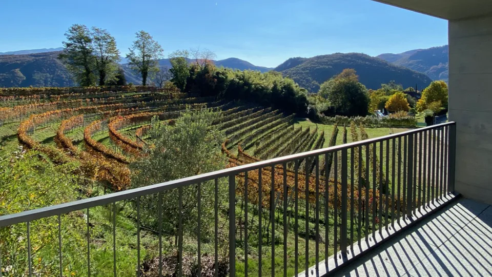 Eleganza, spazio e natura – 4.5 locali con vista vigneti e lago