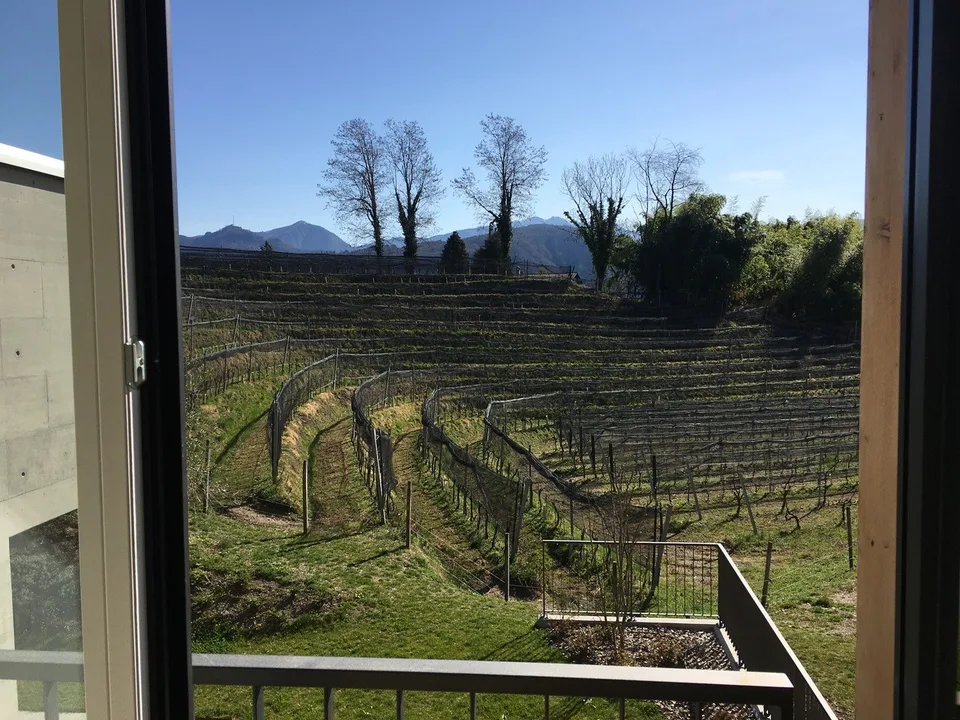 Eleganza, spazio e natura – 4.5 locali con vista vigneti e lago