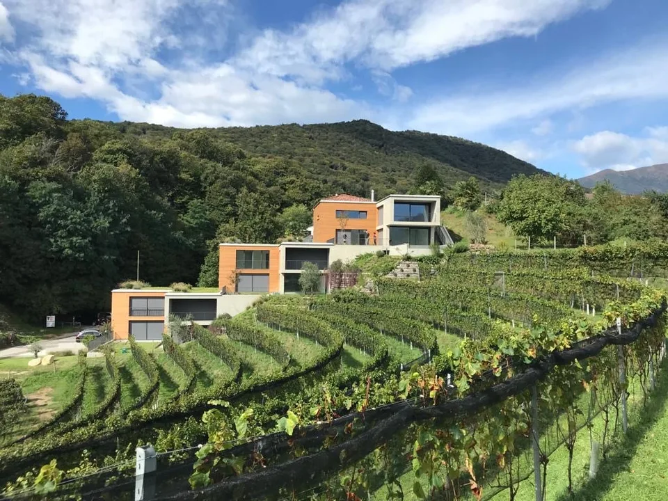 Eleganza, spazio e natura – 4.5 locali con vista vigneti e lago