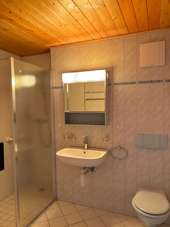 Wohnung 3,5 Zimmer