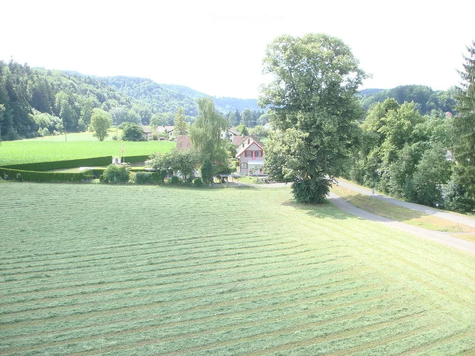 Gewerbeflächen zur Miete in Rikon im Tösstal