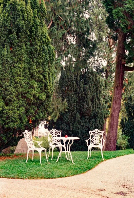 Appartement élégant et haut de gamme à louer