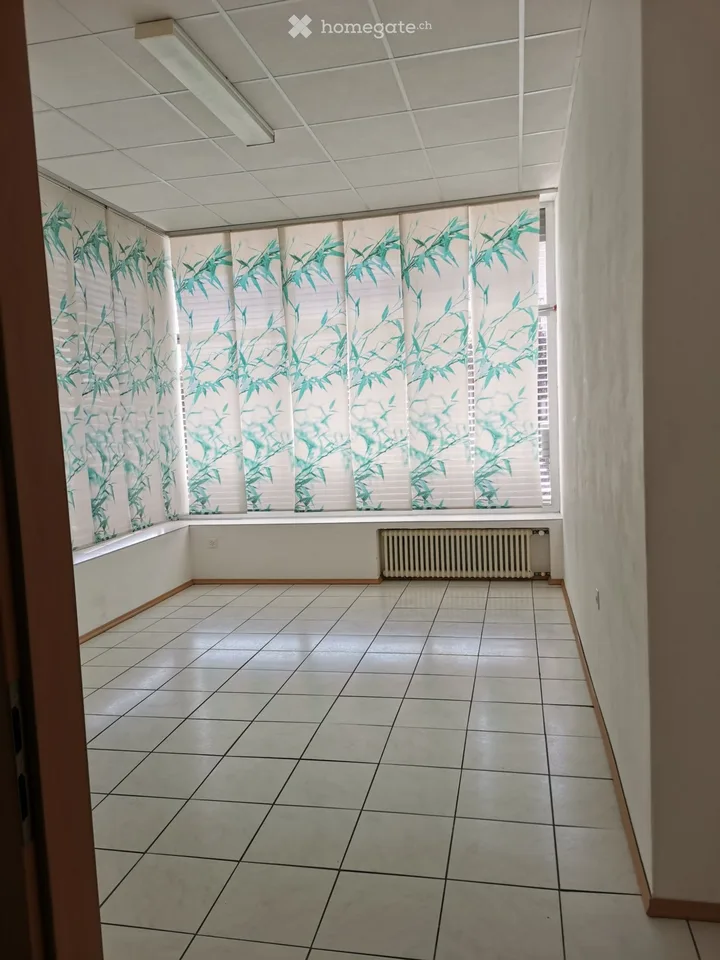 Apartment 3.5 Biasca