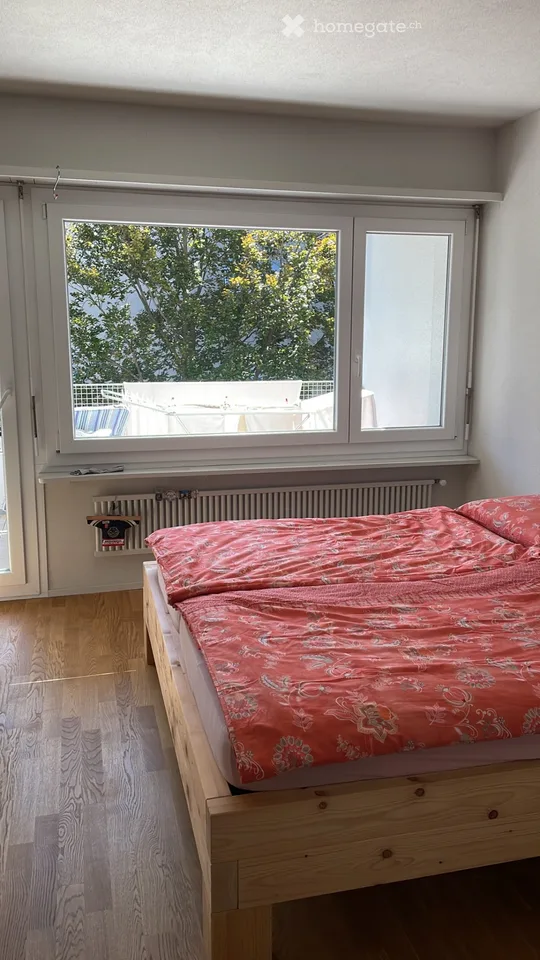 Apartment 2.5 in Sementina