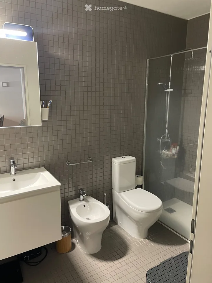 Apartment 2.5 in Sementina