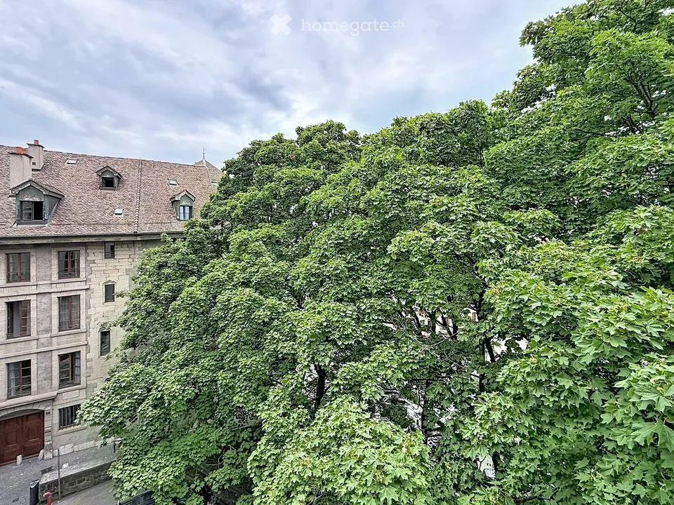 Wohnung mit 5,5 Zimmern in der Altstadt