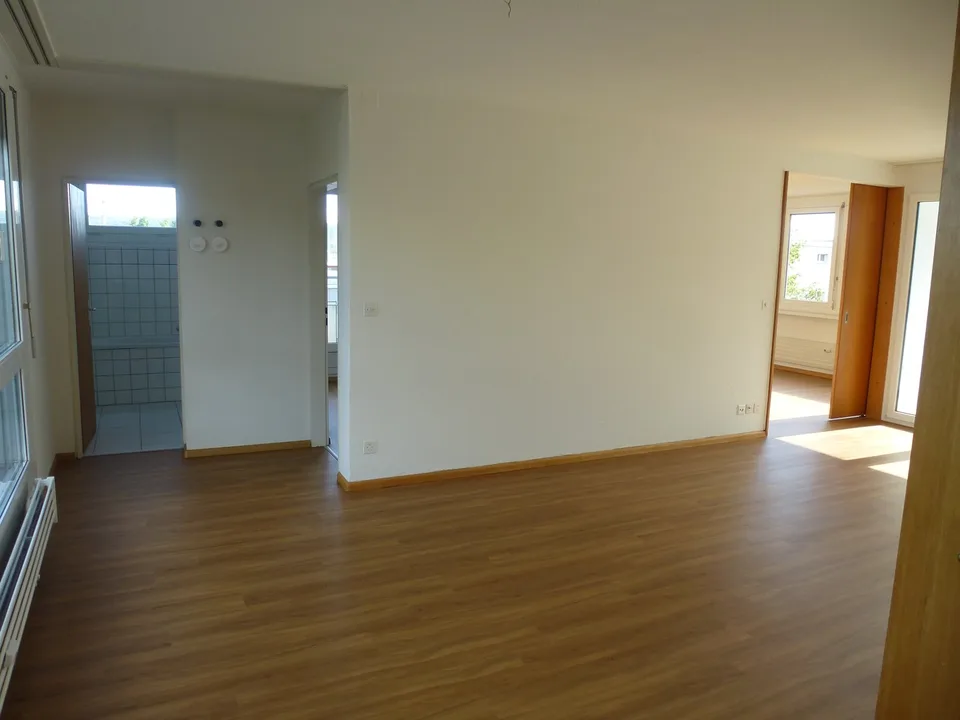 Helle 3 1/2-Zimmerwohnung mit Balkon sucht Nachmieter