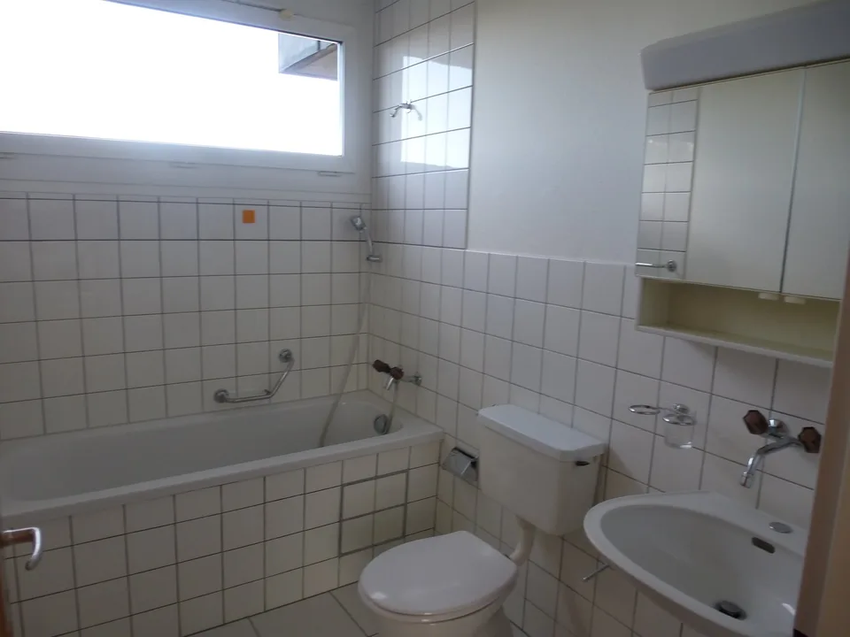 Helle 3 1/2-Zimmerwohnung mit Balkon sucht Nachmieter