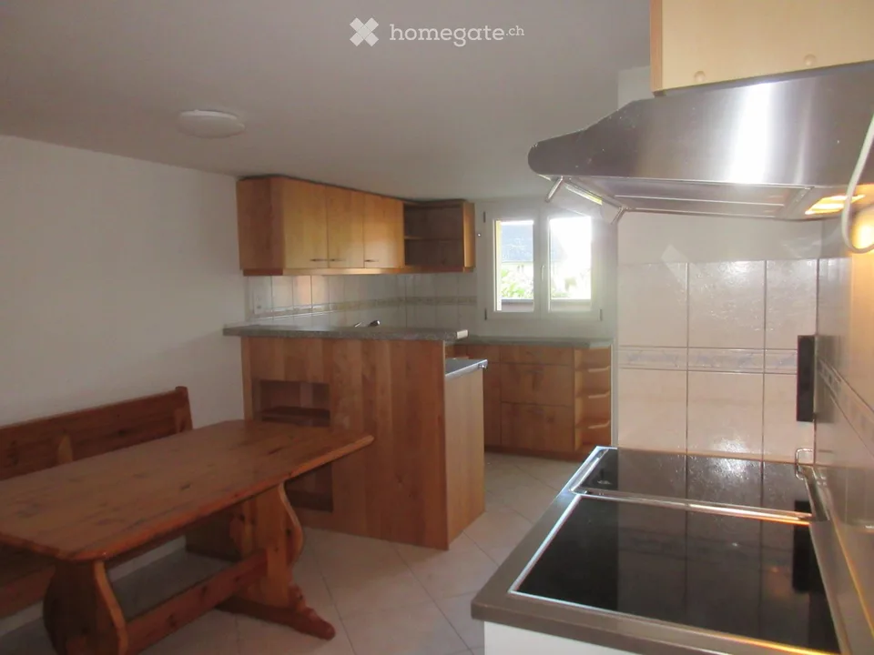 2,5 Zimmer-Wohnung (frei ab sofort)
