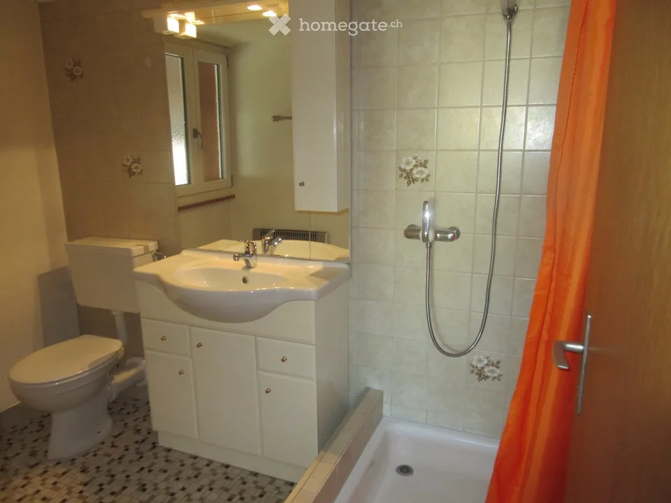 Appartement 2,5 pièces (disponible immédiatement)