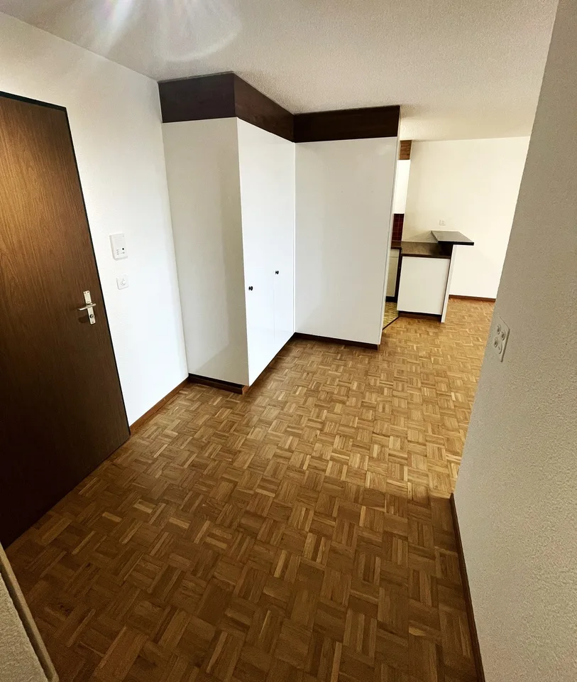 Appartement 2 pièces lumineux Volketswil