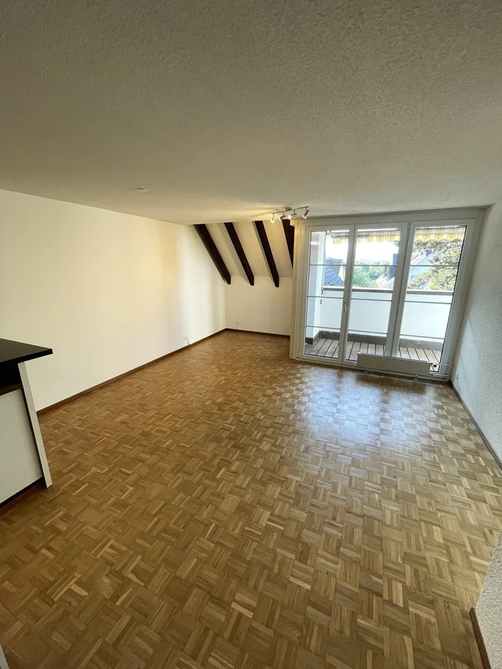 Appartement 2 pièces lumineux Volketswil
