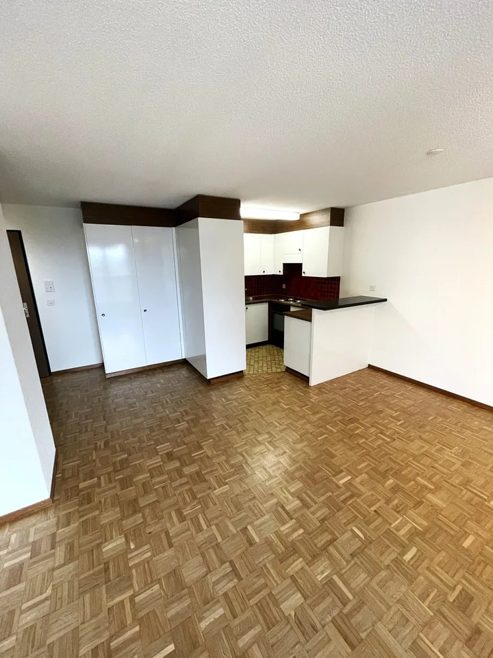 Appartement 2 pièces lumineux Volketswil