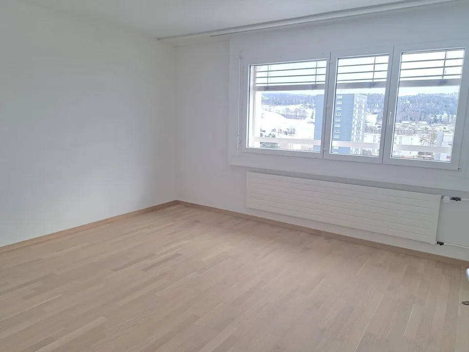 Renovated apartment with balcony and elevator
