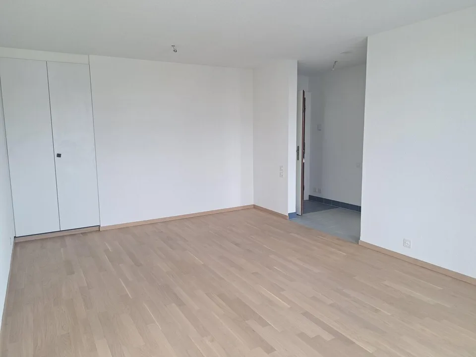 Renovated apartment with balcony and elevator