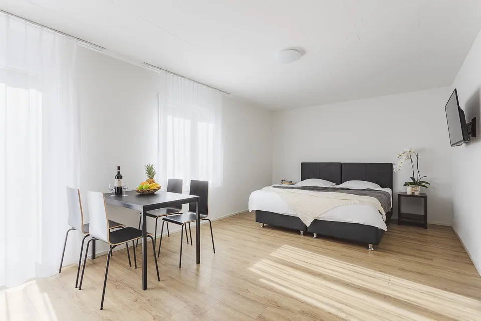 Modernes  Apartment mit 2 Schlafzimmern in Wiedikon