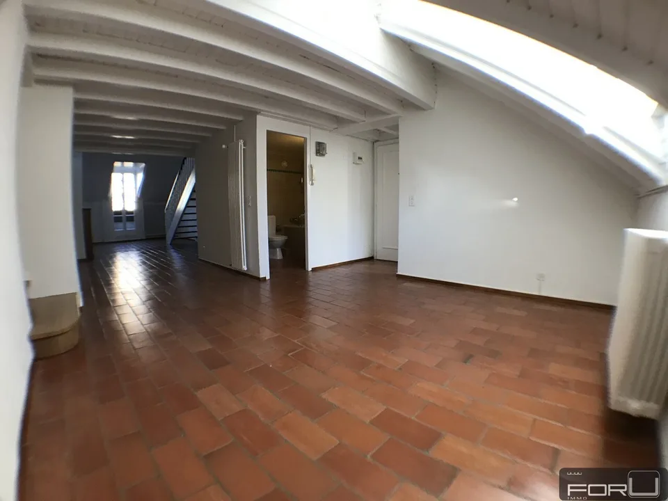 Attico magnifico, grande, atipico e ristrutturato nel Vieux-Carouge