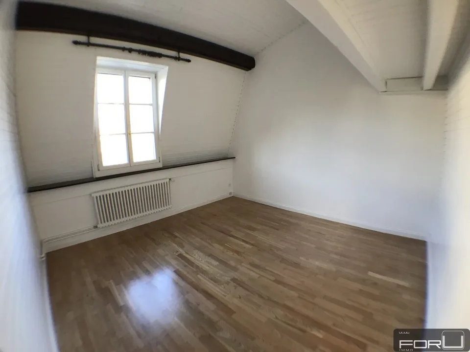 Prächtiges, großes, ungewöhnliches und renoviertes Dachgeschoss in Vieux-Carouge – Foto 10 von 13
