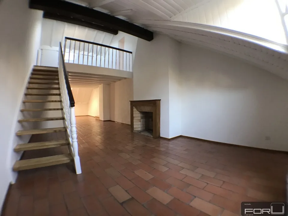 Attico magnifico, grande, atipico e ristrutturato nel Vieux-Carouge