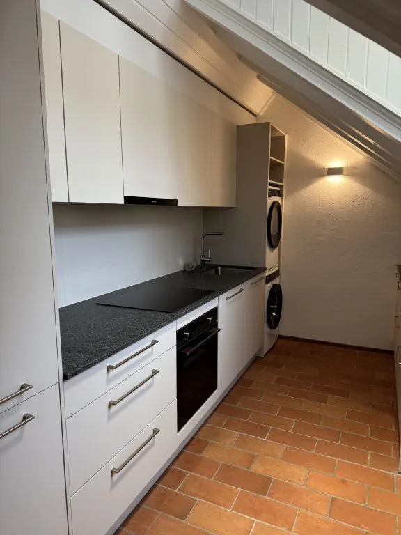 Attico magnifico, grande, atipico e ristrutturato nel Vieux-Carouge
