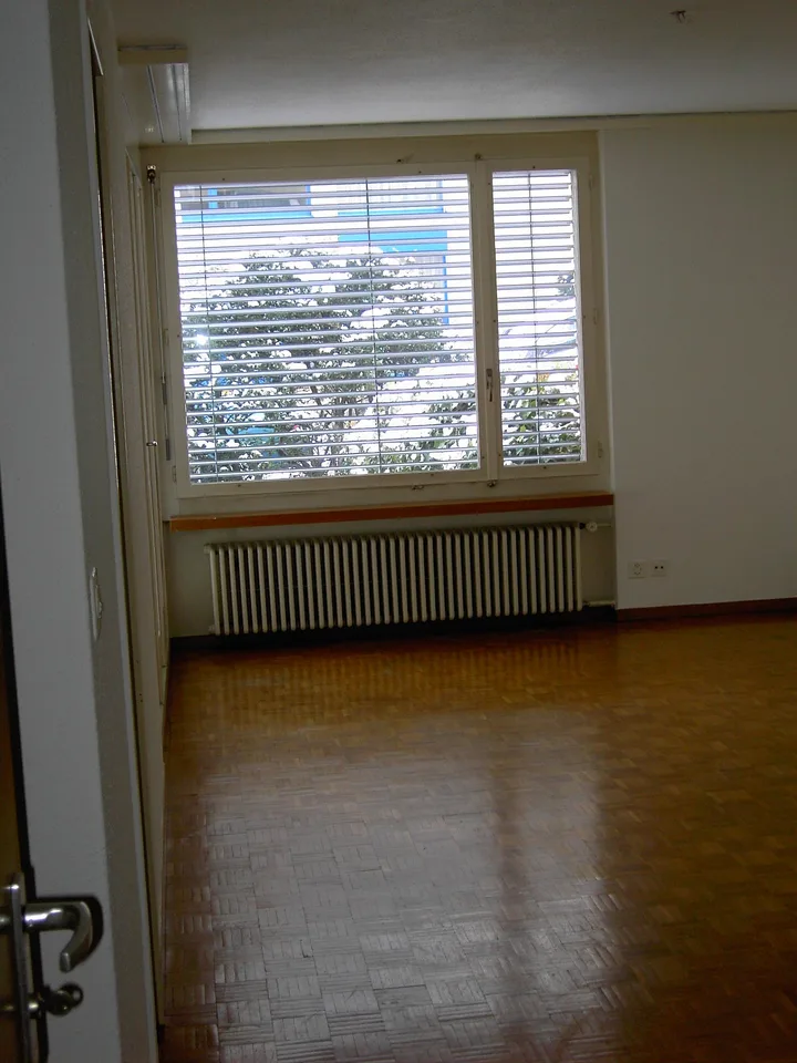 Affascinante appartamento 1 & 2 locali con balcone e vista lago a Horgen – limitato fino alla fine di aprile 2027