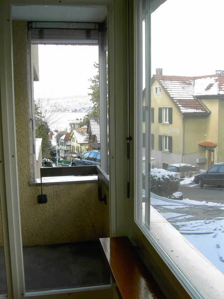 Charming 1 & 2-room apartment with balcony and lake view in Horgen – limited until the end of April 2027 – photo 8 of 22
