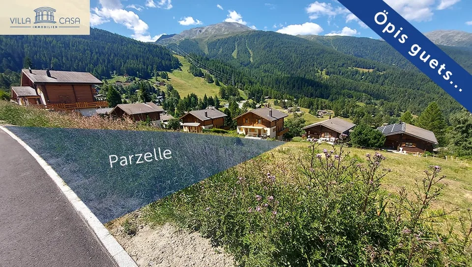 Neubau ALPINA / Eigenheim statt Kompromiss