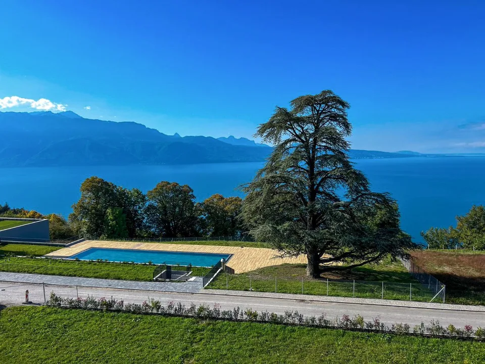 Magnifique 3 1/2 pièces à Puidoux-Chexbres avec vue sur Lac Léman – Foto 9 von 12