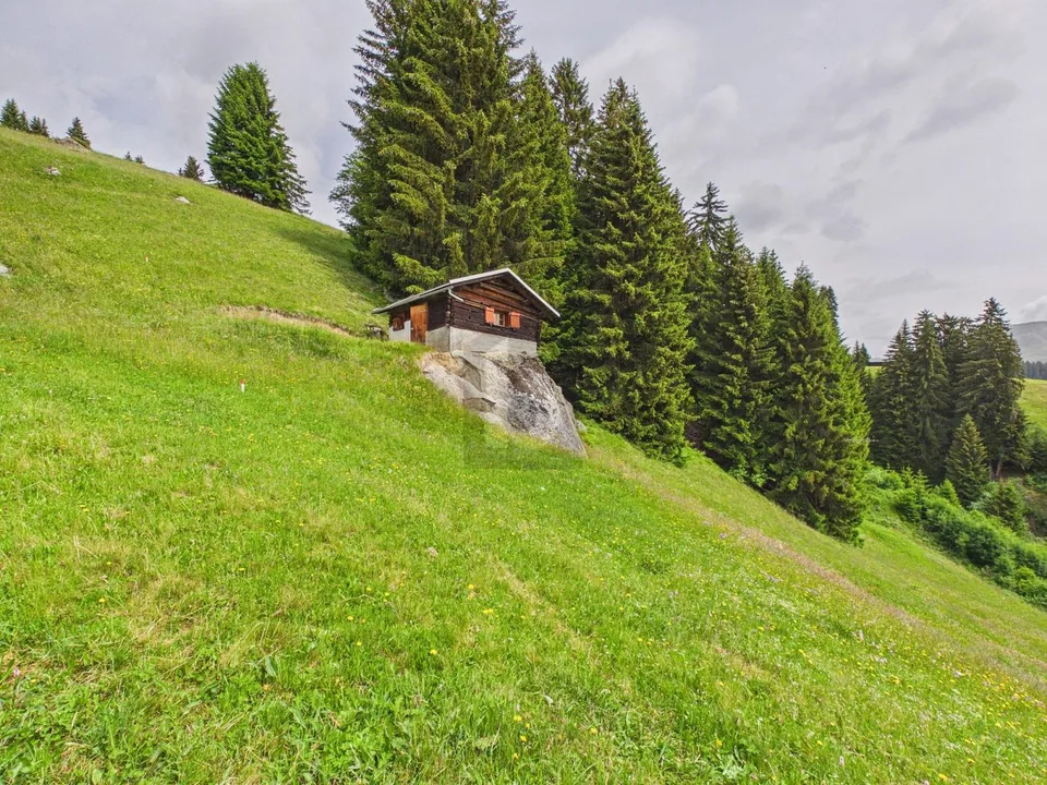 NATUR-PARADIES MIT TRAUMHAFTER WEITSICHT