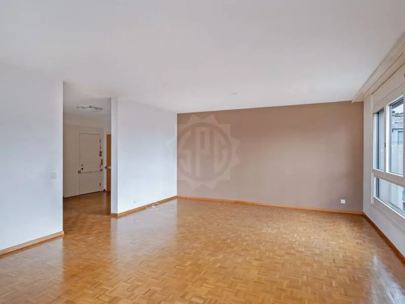 Geräumiges Appartement - Genf