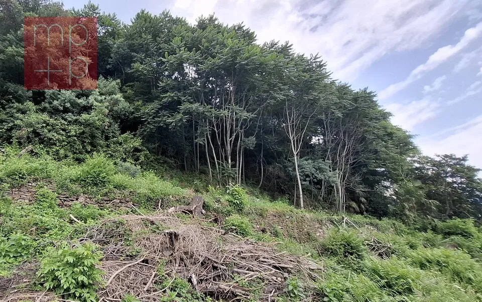 Terreno per costruire - Brissago – foto 8 di 8