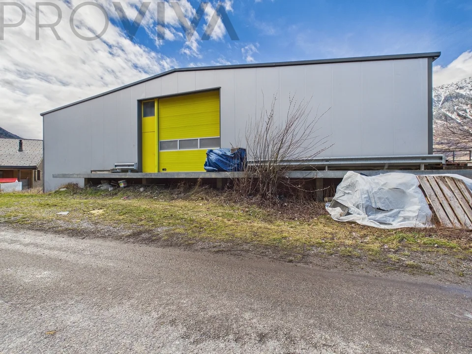 Halle, Mietwohnung & Unternehmen - Komplettpaket