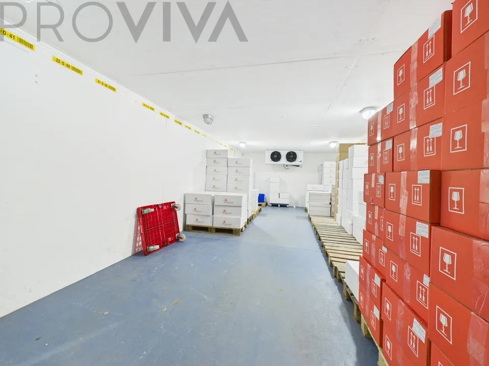 Halle, Mietwohnung & Unternehmen - Komplettpaket