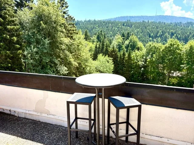 Charmant duplex de 4.5 pièces à St-Cergue – Vue, calme et nature