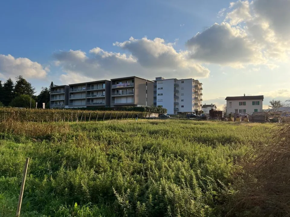 Terreno industriale di ca. 2'600 mq a Mendrisio