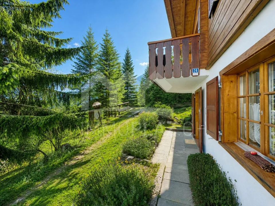 Cozy Chalet | very quiet location | walking distance to ski slope