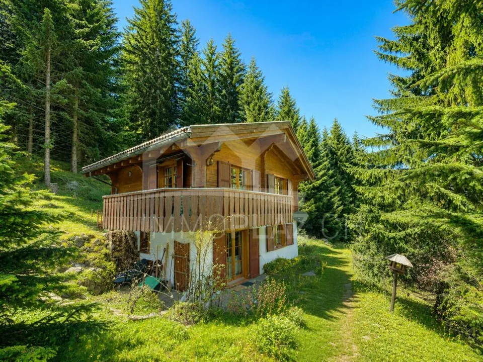 Cozy Chalet | very quiet location | walking distance to ski slope