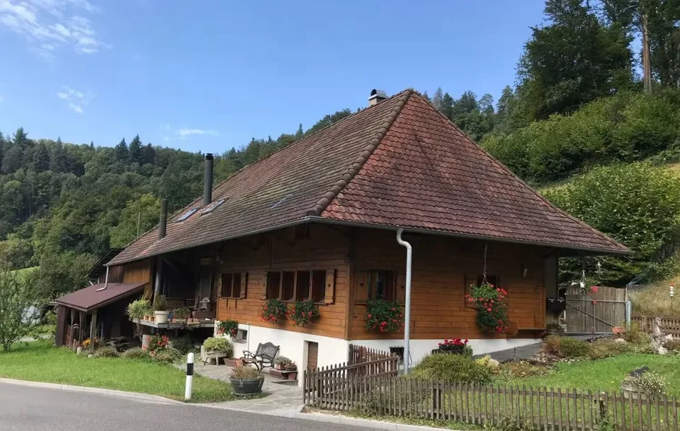 Mys neui Diheim - Bijou am Dorf- und Waldrand!