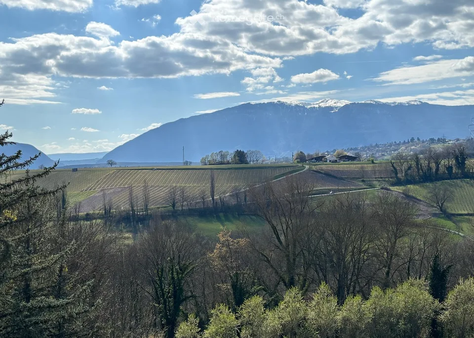 Appartamenti di 5 locali in vendita a Russin