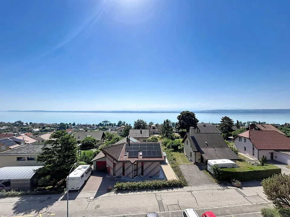 Appartement avec vue panoramique sur le lac et les alpes