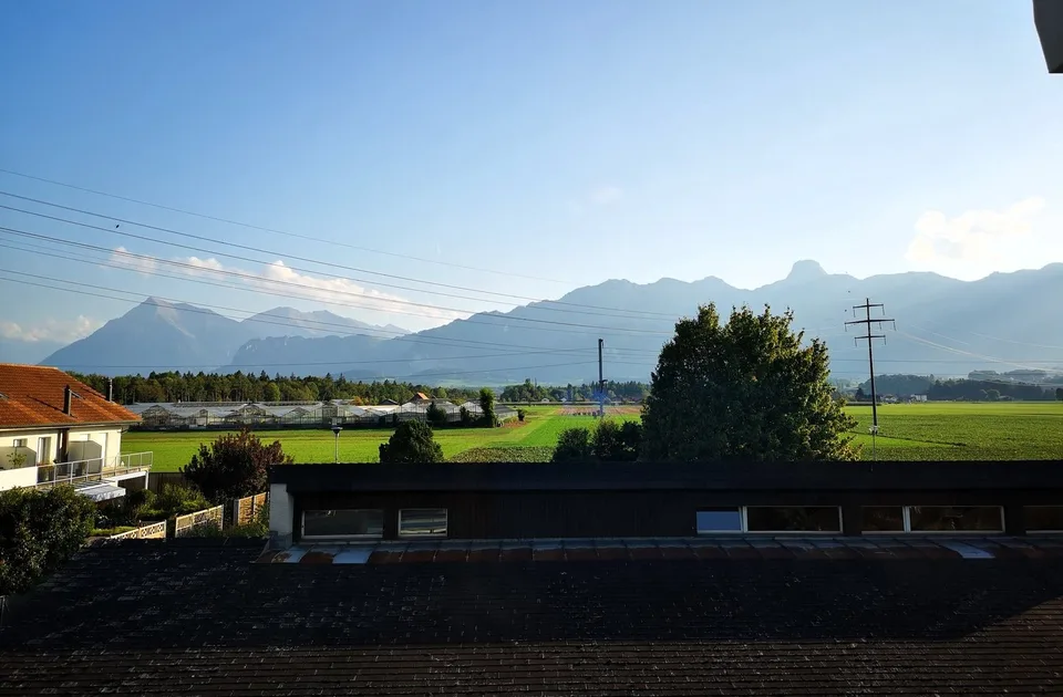 Wunderschöne 4.5 Zimmer-DG-Wohnung mit Panoramablick