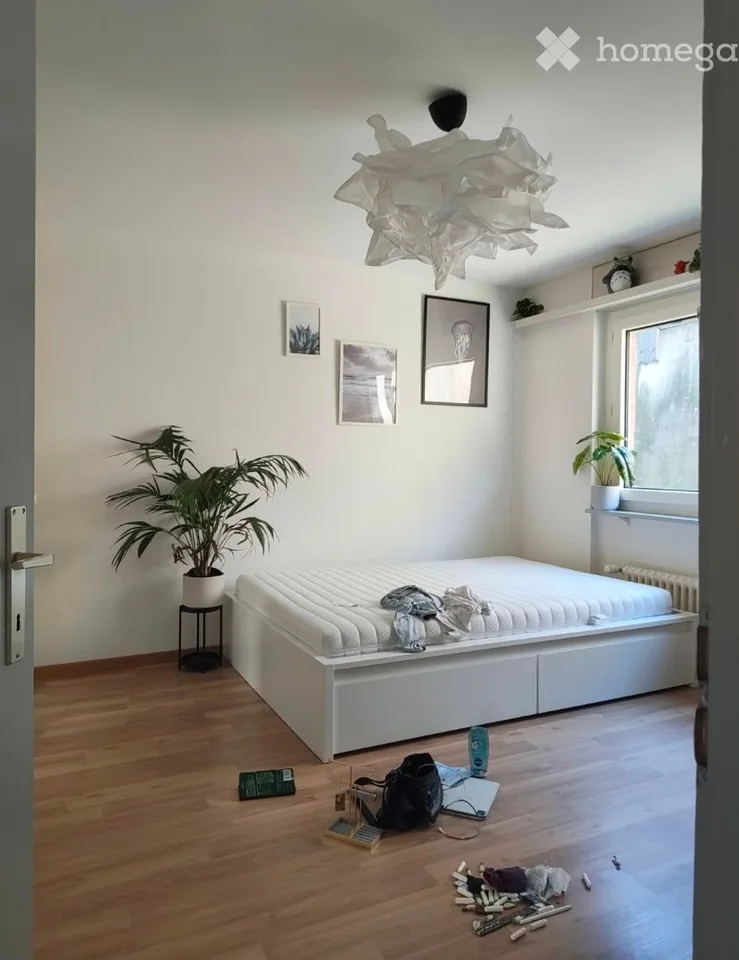 Wohnung mit 2.5 Zimmern in Olten