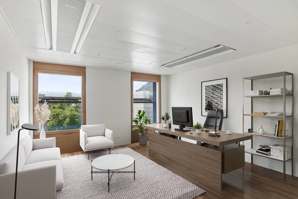Rue du Mont-Blanc 7 - Bürofläche von 306 m2